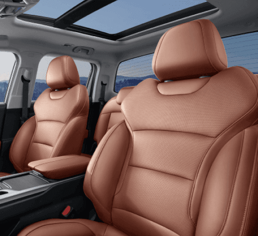 داخلية من الجلد